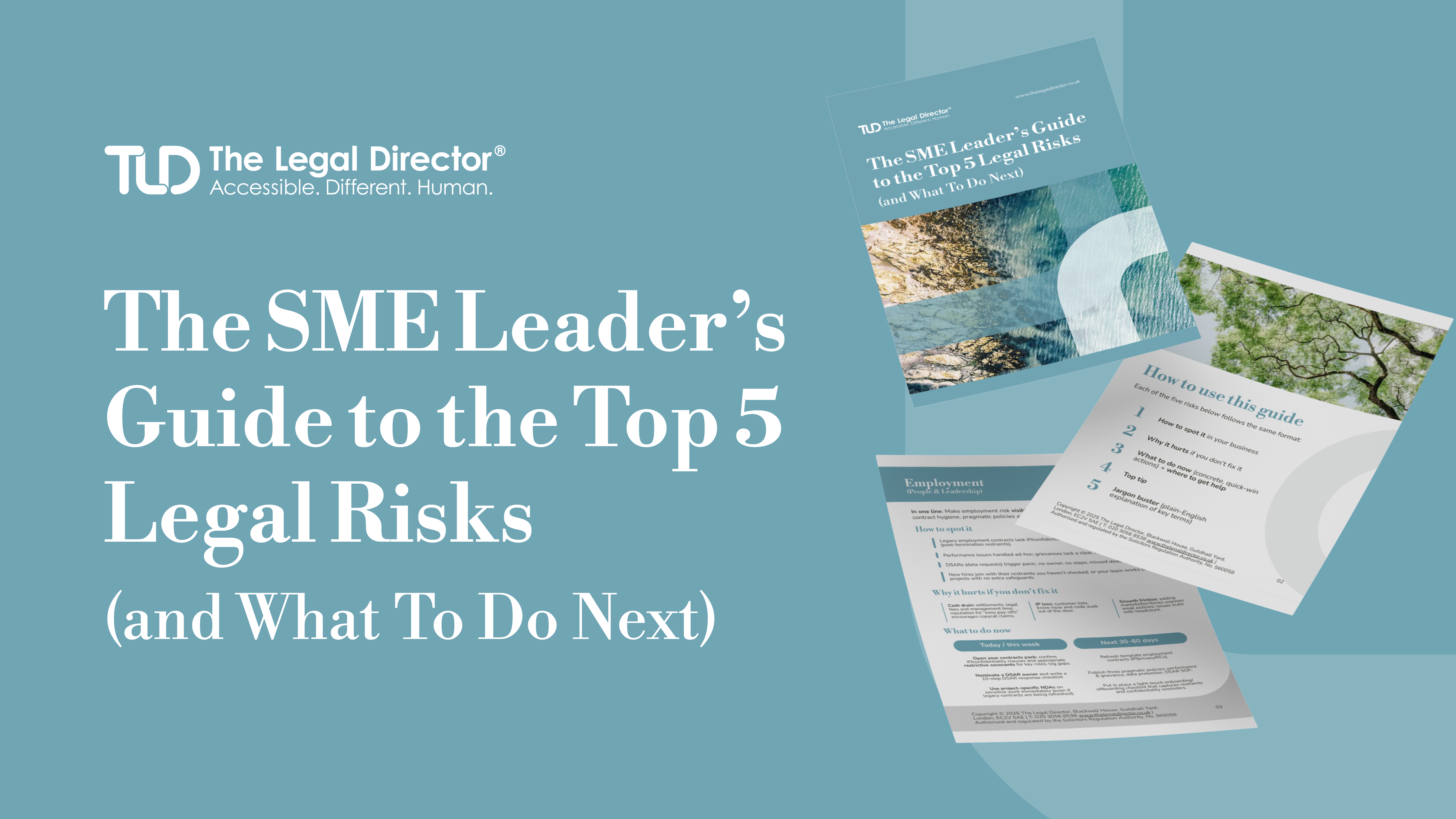 The SME Leader’s Guide to the Top 5 Legal Risks